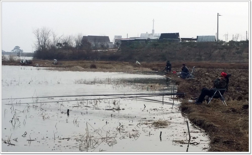 20140223_160634.jpg