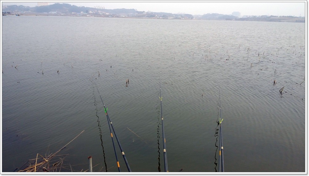 20140223_160657.jpg