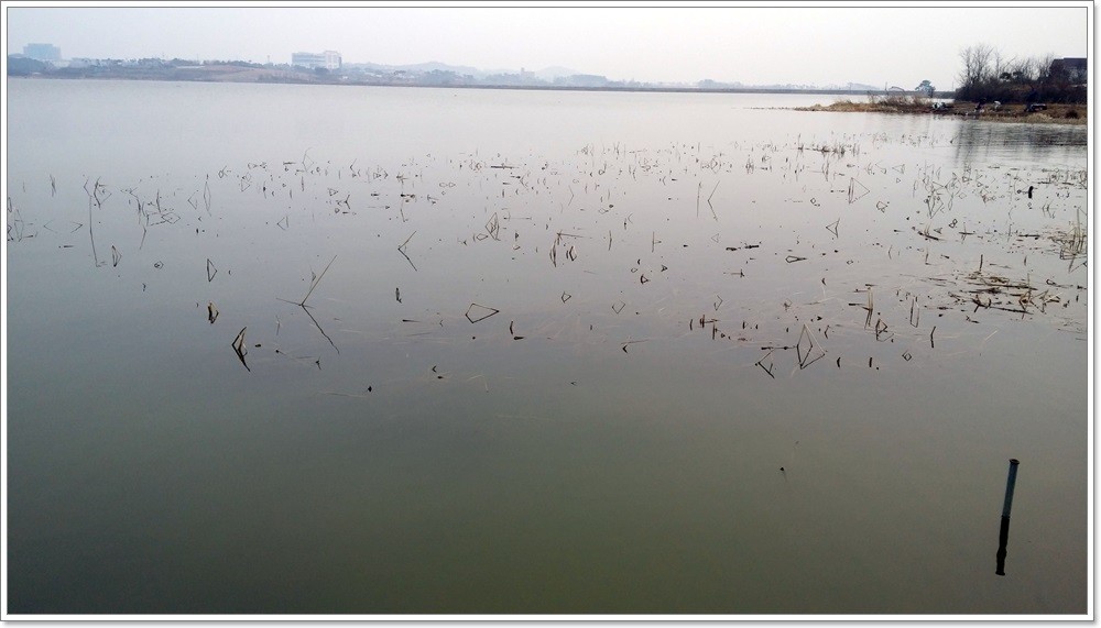 20140223_173830.jpg