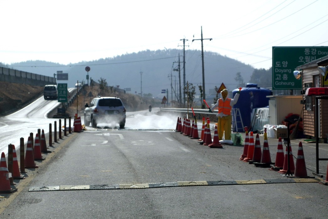 P1000091_1.jpg