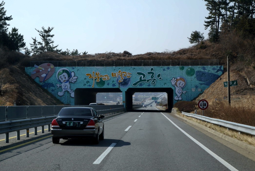 P1000095_1.jpg