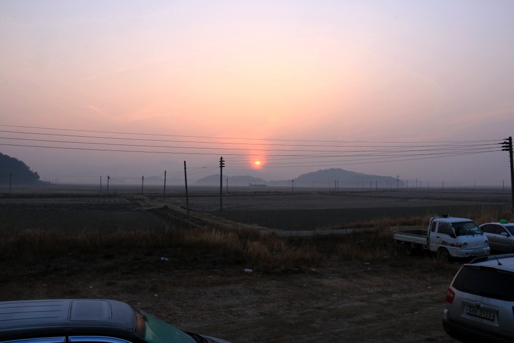 IMG_1312-1.jpg