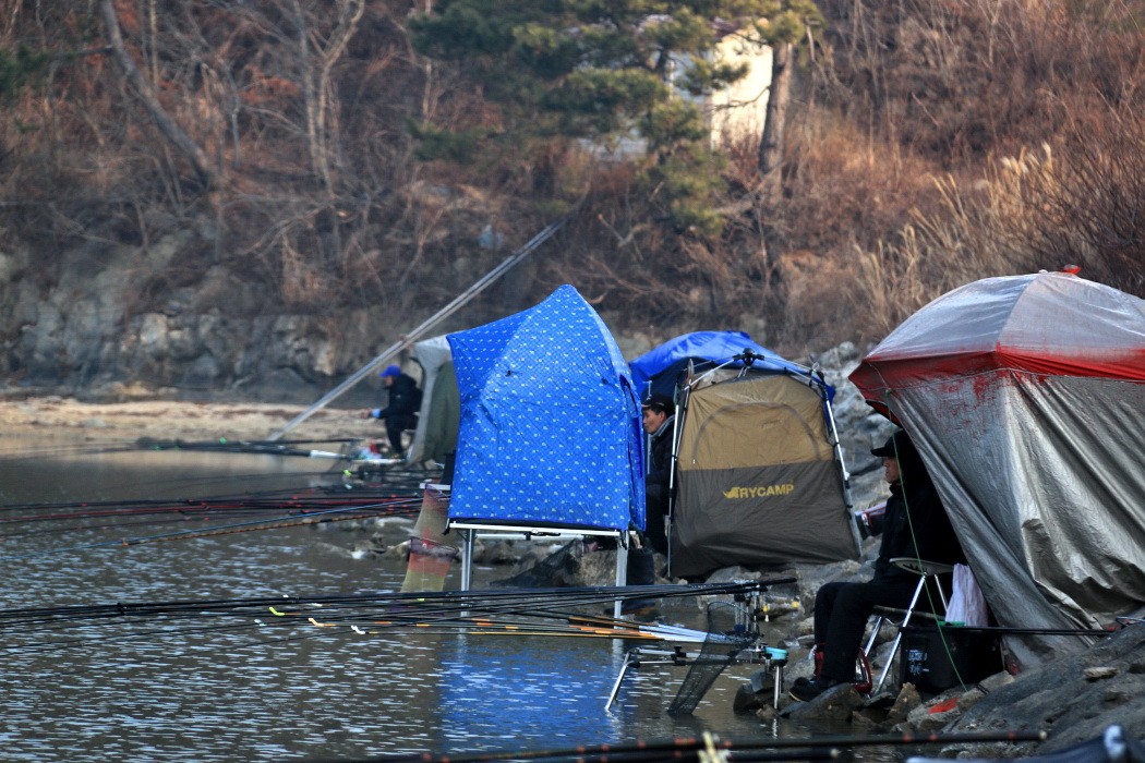 IMG_1362-1.jpg