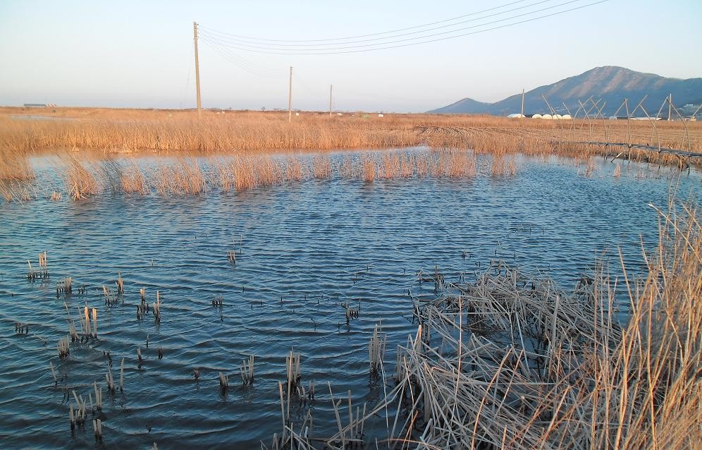 �纻 -2 SAM_2437.JPG