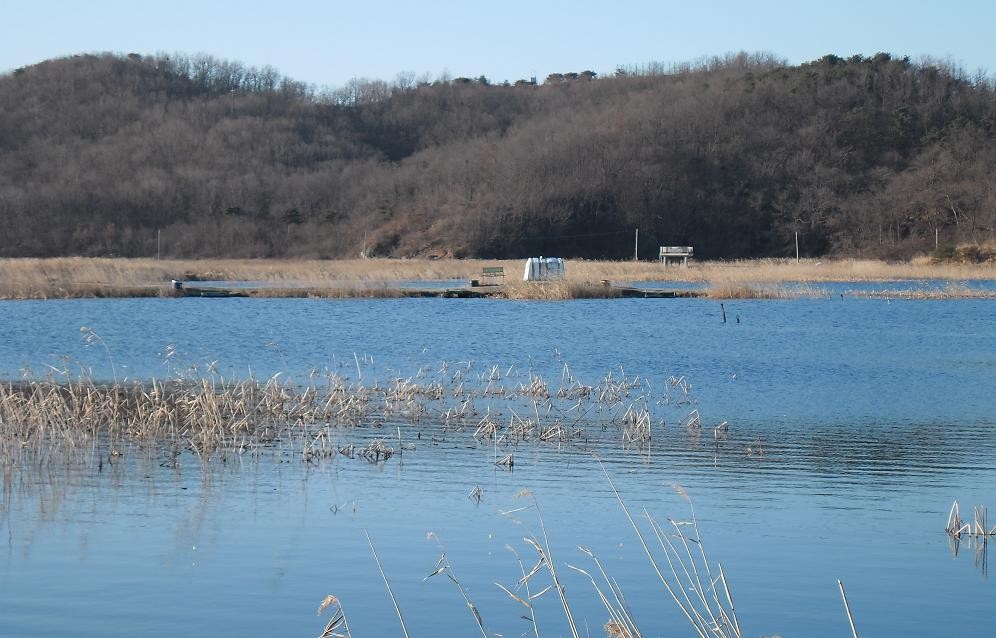 �纻 -5 SAM_2485.JPG