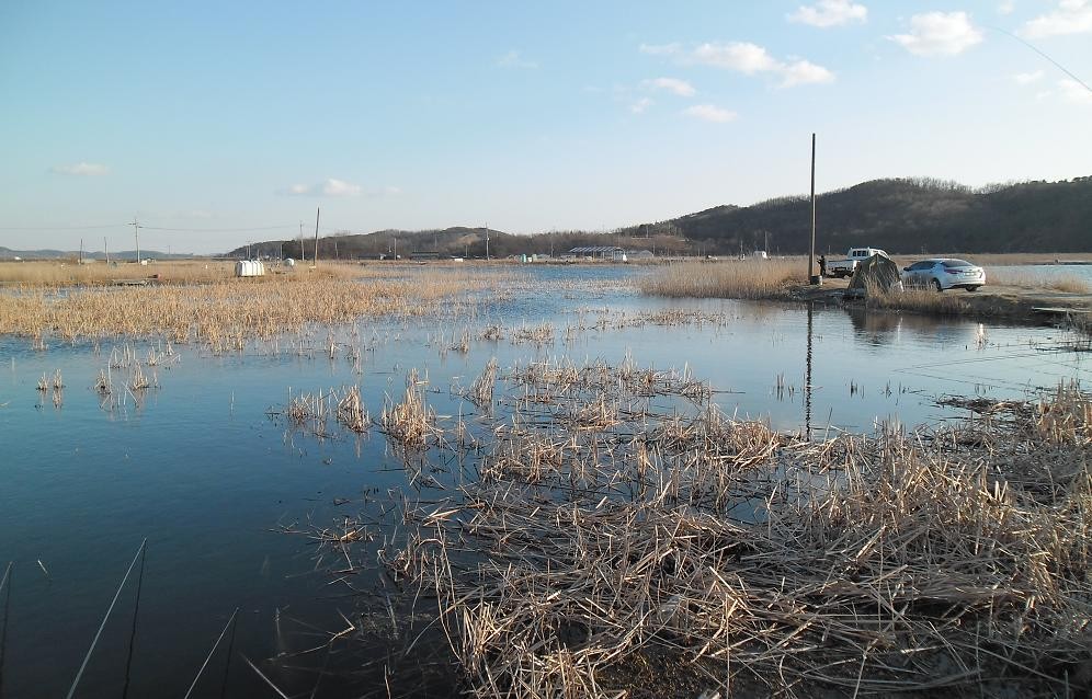 �纻 -7 SAM_2463.JPG