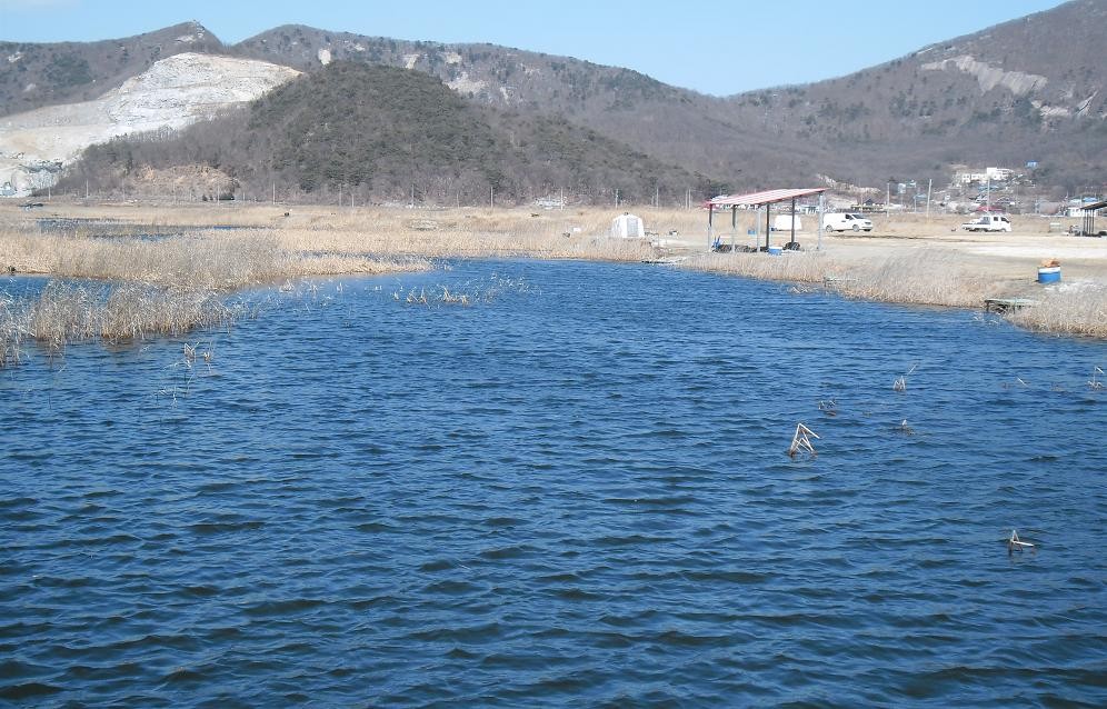 �纻 -8 SAM_2448.JPG