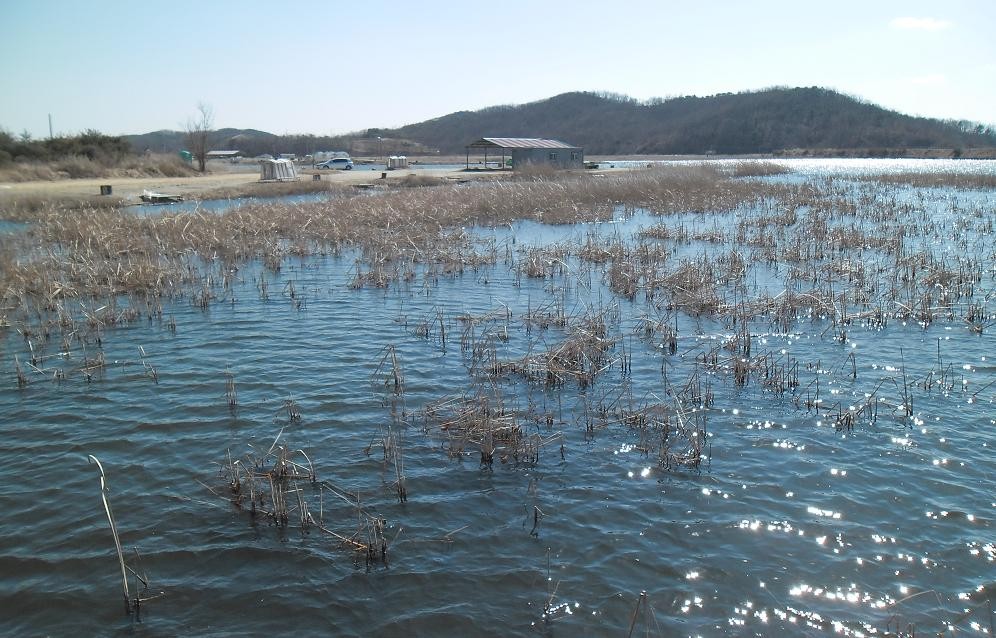 �纻 -9 SAM_2447.JPG