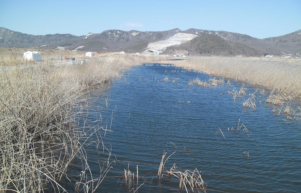 �纻 -10 SAM_2446.JPG