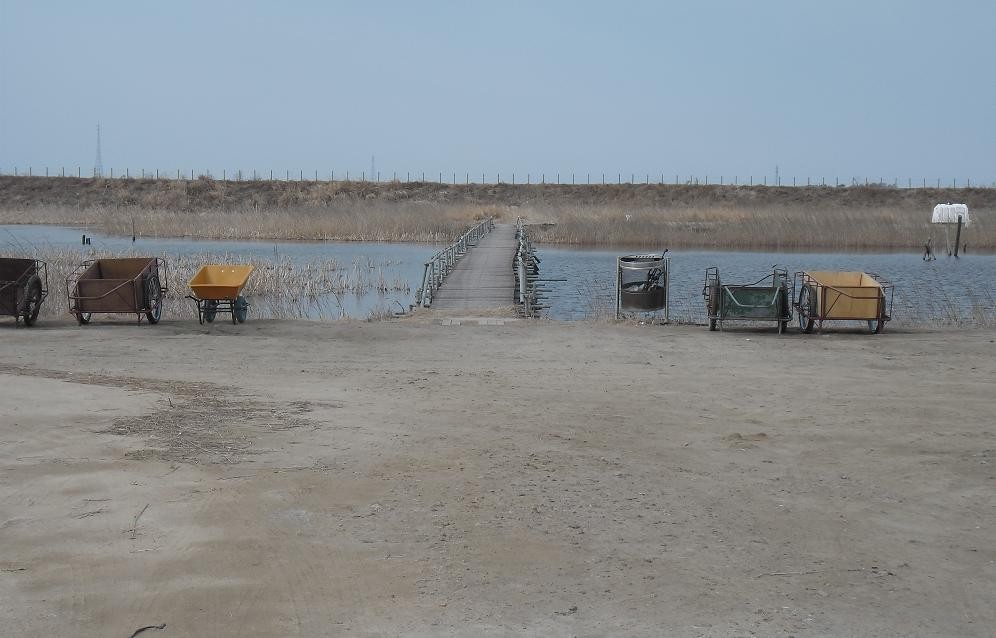 �纻 -13 SAM_2478.JPG