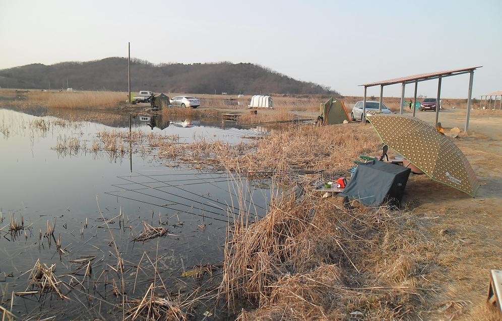 �纻 -15 SAM_2475.JPG