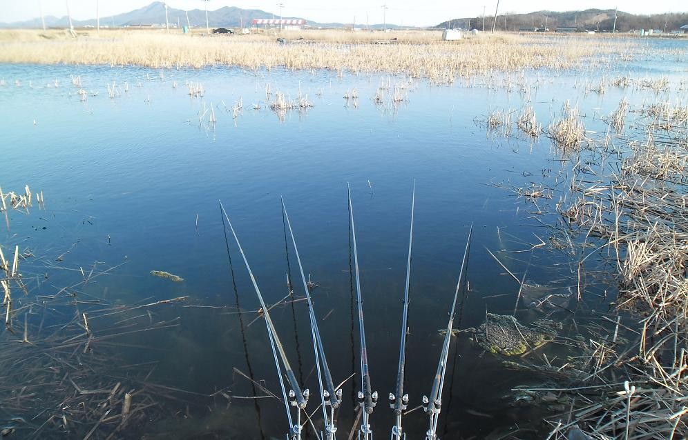 �纻 -16 SAM_2462.JPG