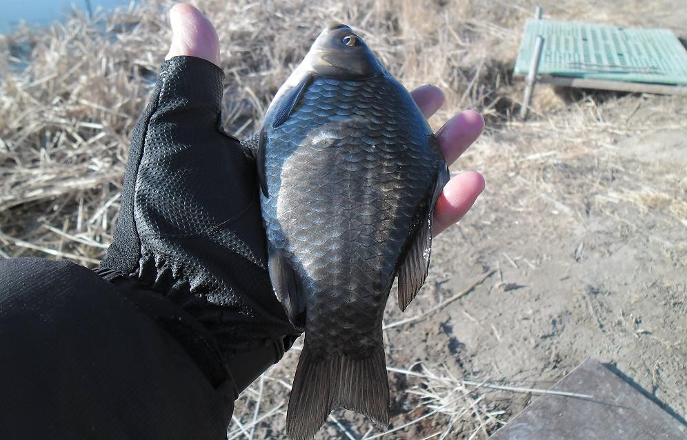 �纻 -23 SAM_2489.JPG