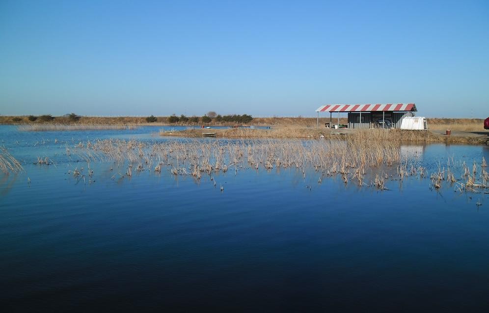 �纻 -25 SAM_2488.JPG