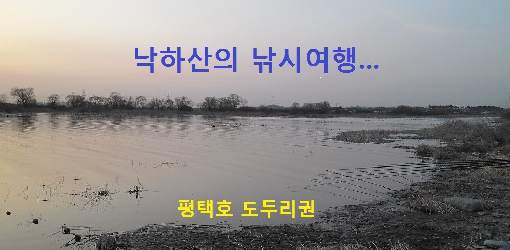 0 - 纻.JPG