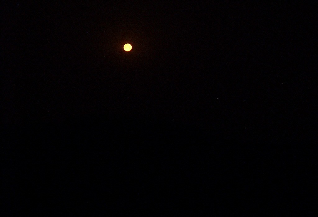 89.jpg