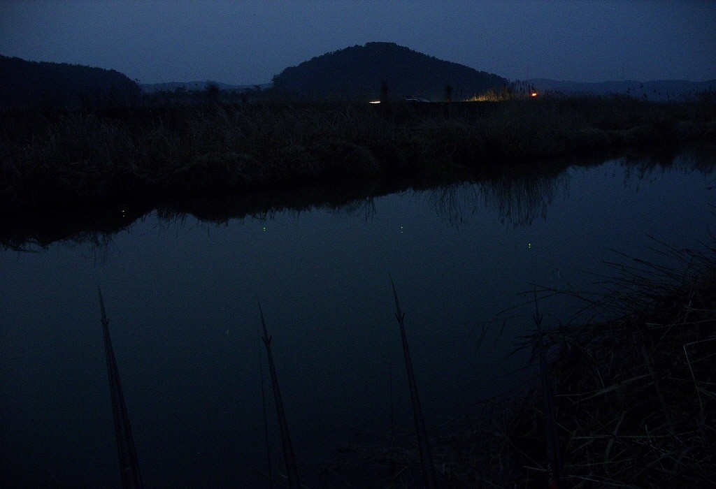 95.jpg