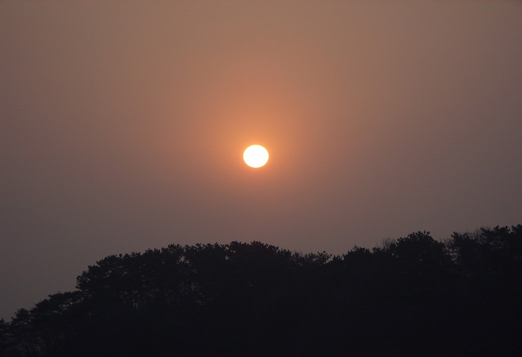 103.jpg