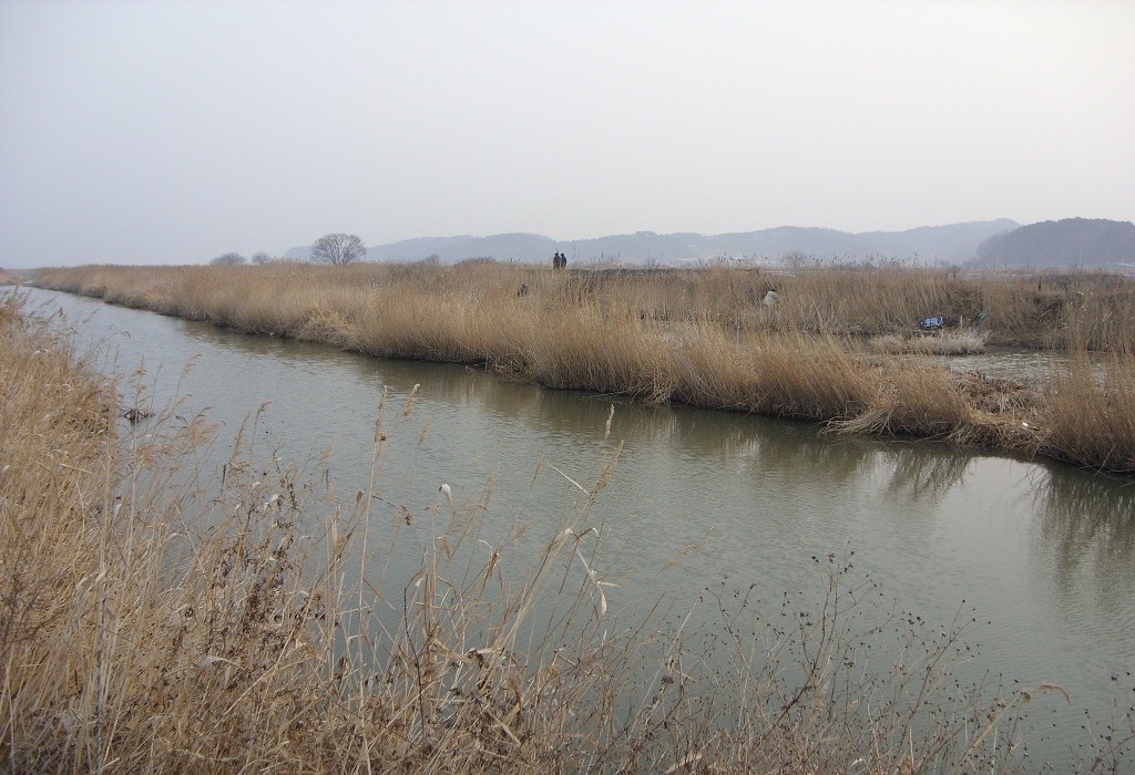 114.jpg