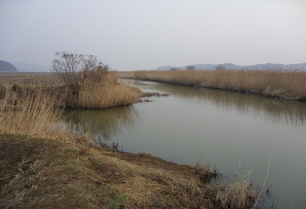 117.jpg