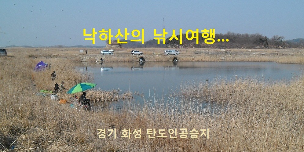 01 - ���纻 - ���纻.JPG