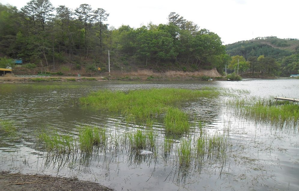 02 - ���纻.JPG