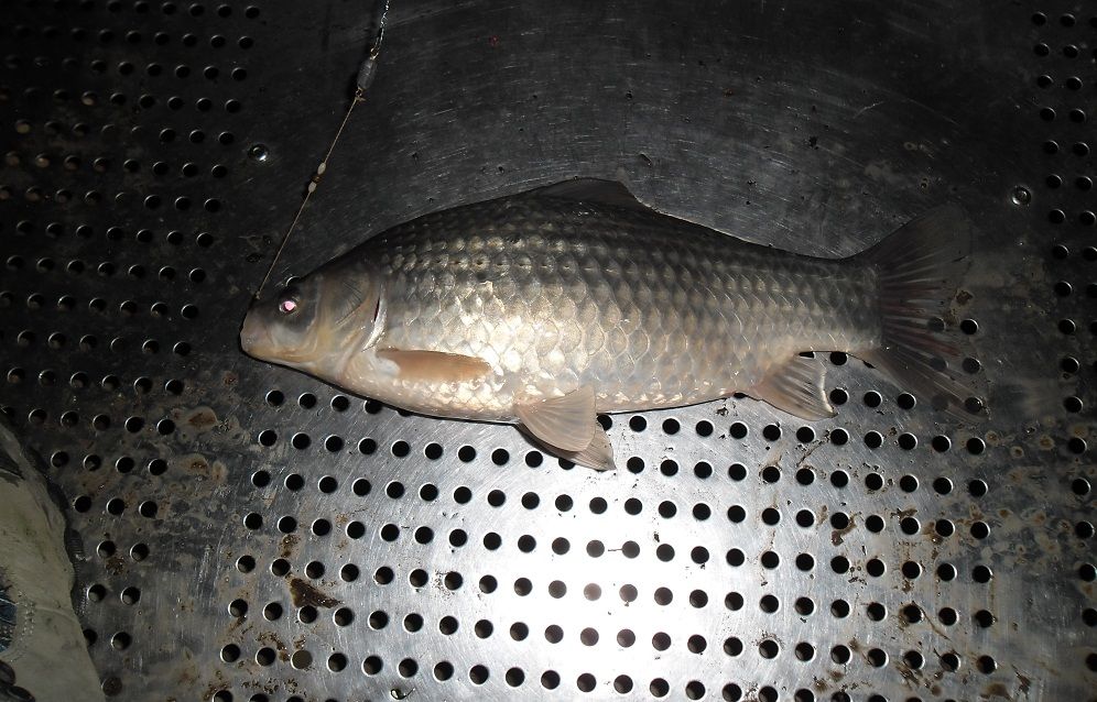 06 - ���纻.JPG