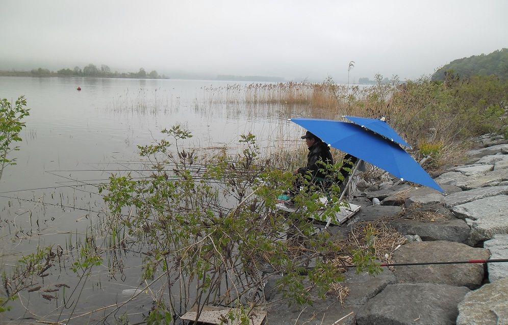 15 - ���纻.JPG