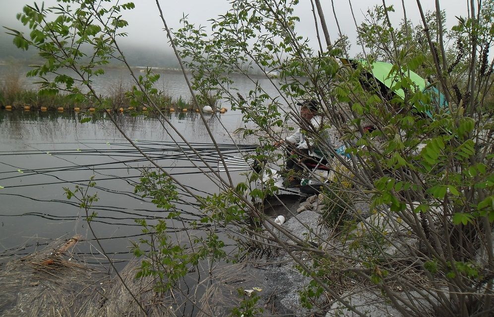 18 - ���纻.JPG