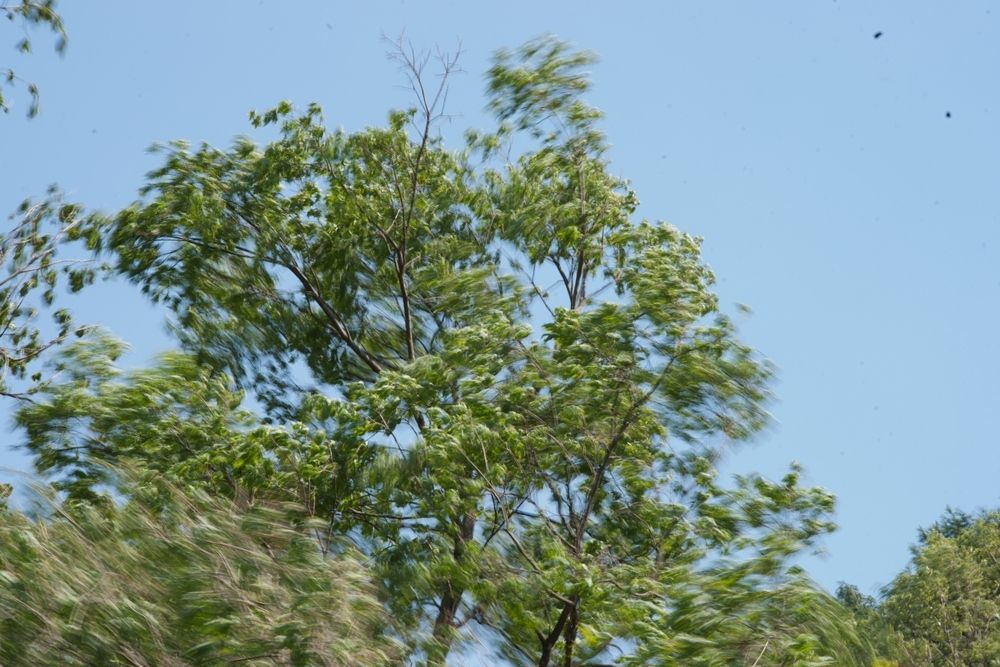 DSC3907.jpg