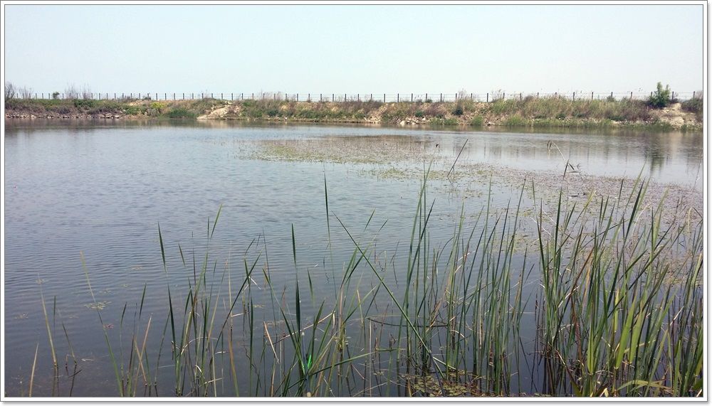 20140510_123533.jpg