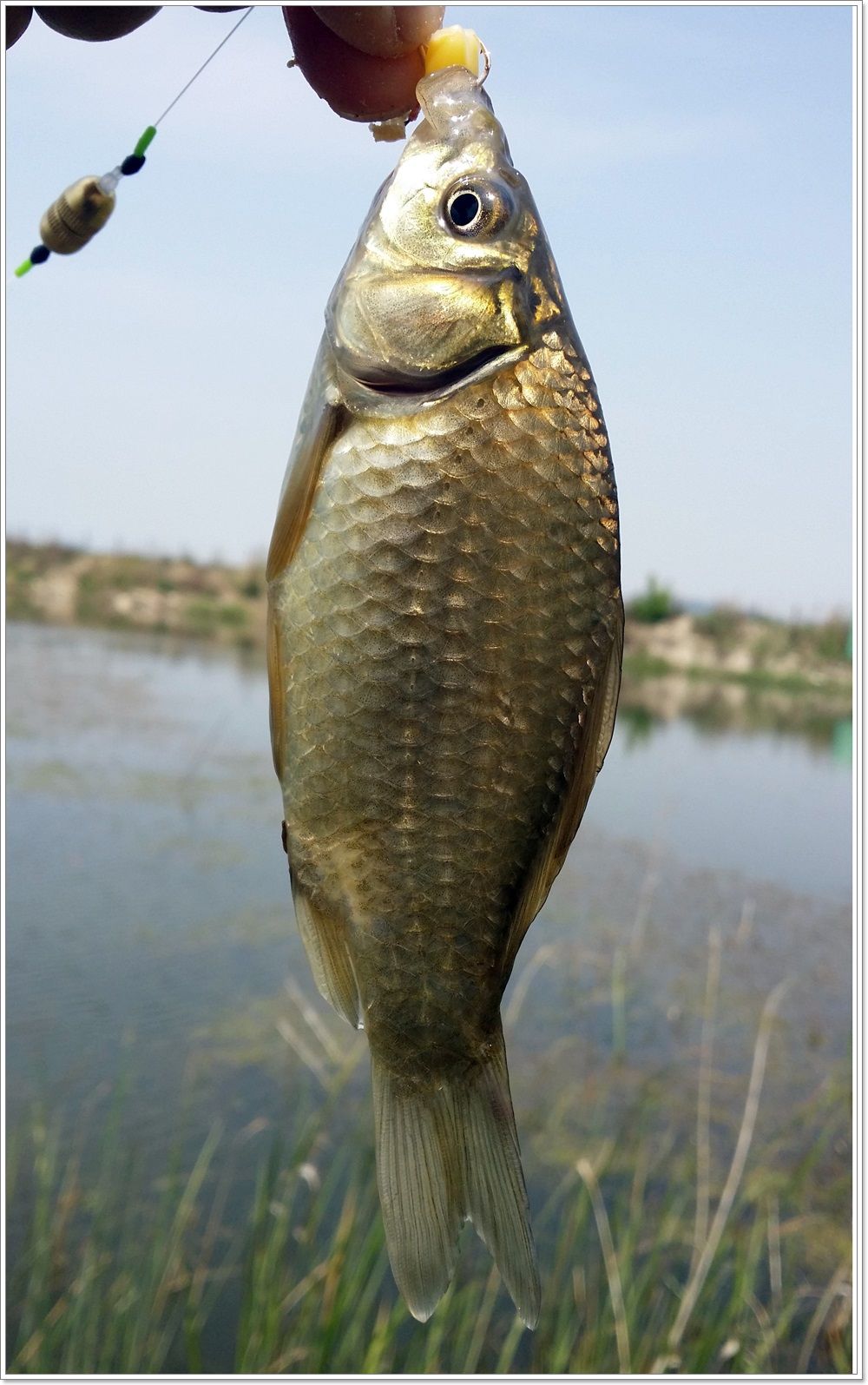 20140510_133907.jpg