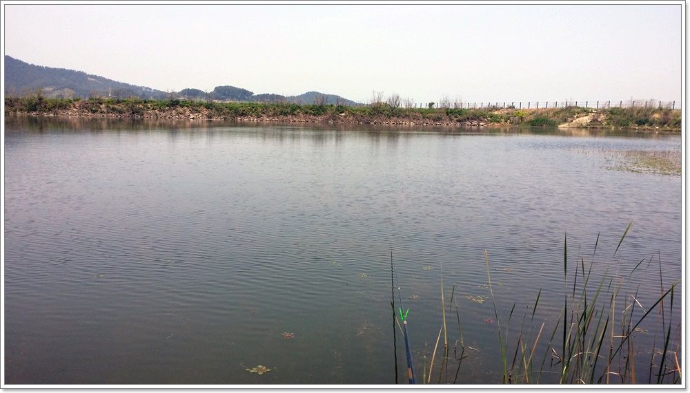 20140510_123538.jpg