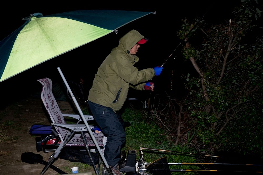 DSC1542.jpg