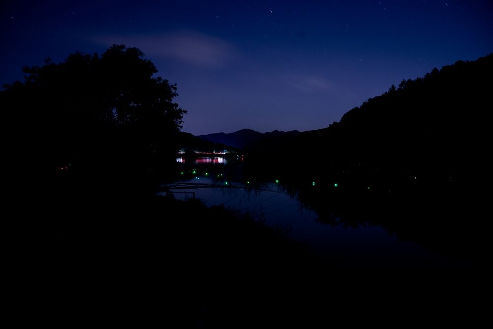 DSC1535.jpg