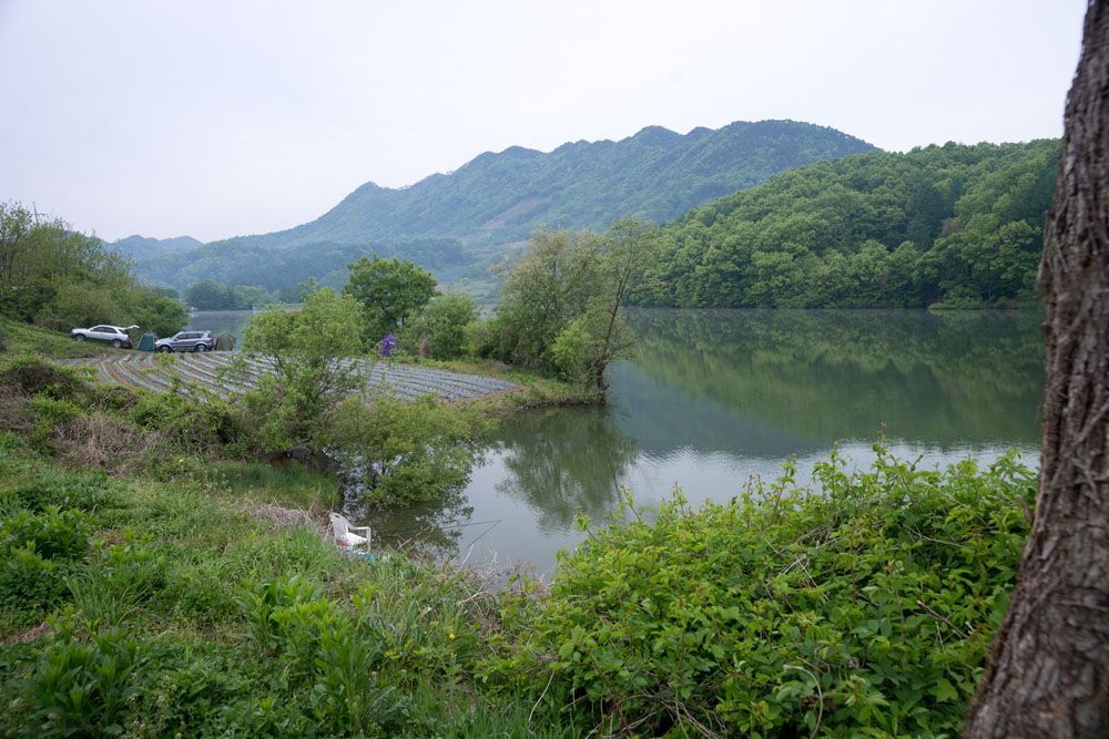 DSC0178.jpg