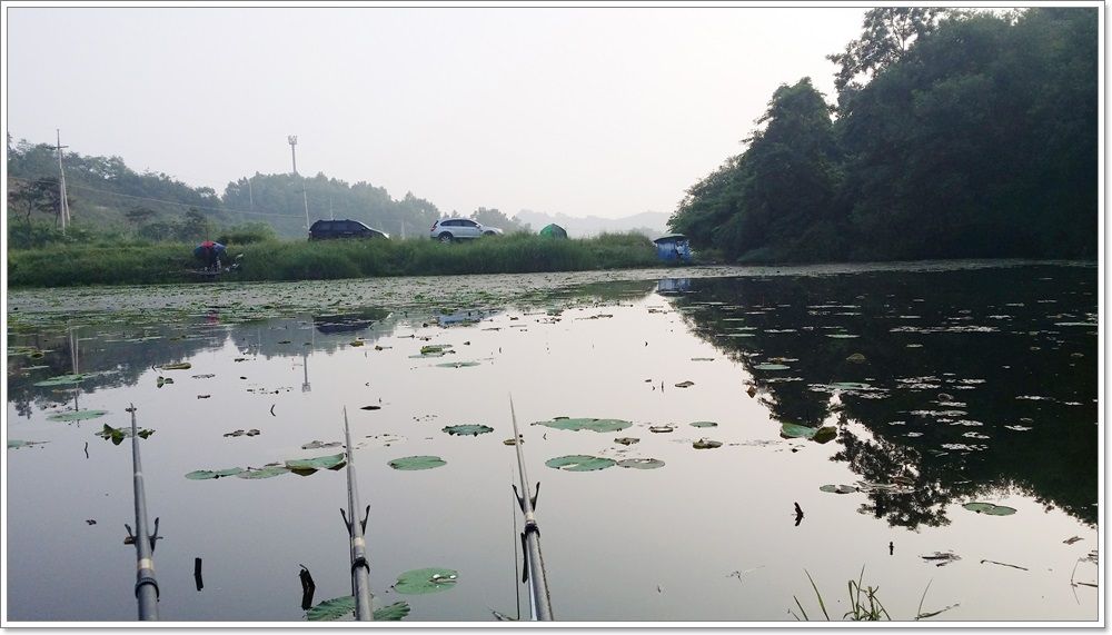 20140607_062636.jpg
