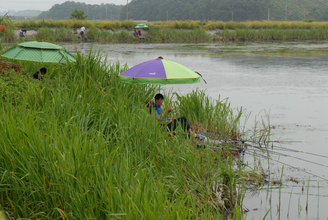 �غ�Ŭ�������� 003.jpg