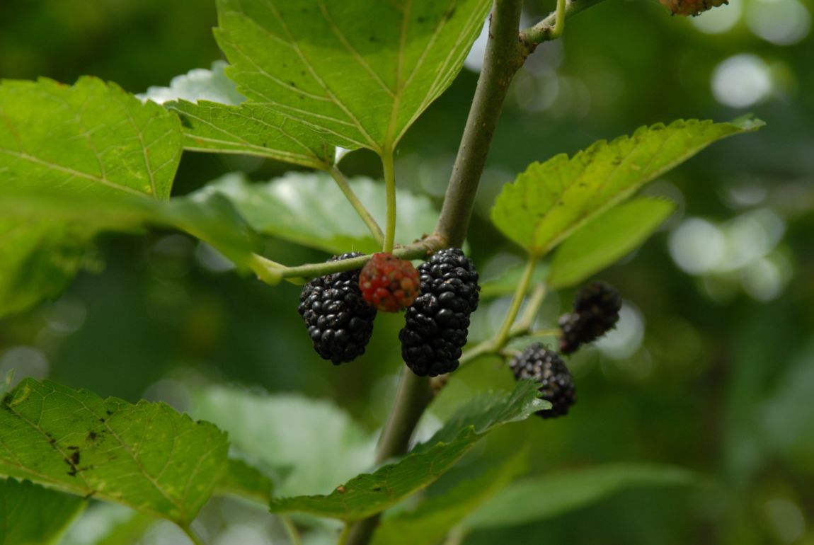 �غ�Ŭ�������� 030.jpg