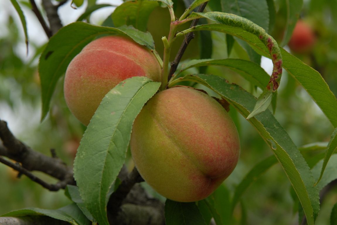 �غ�Ŭ�������� 033.jpg