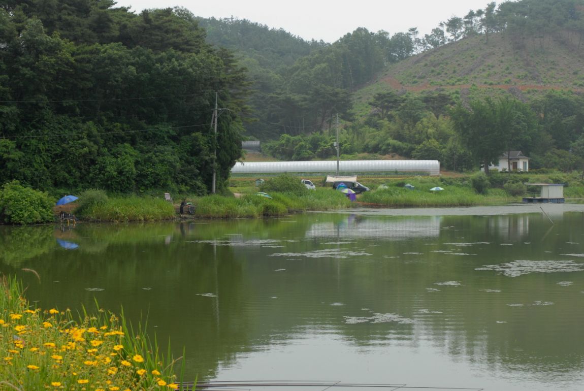 �غ�Ŭ�������� 031.jpg