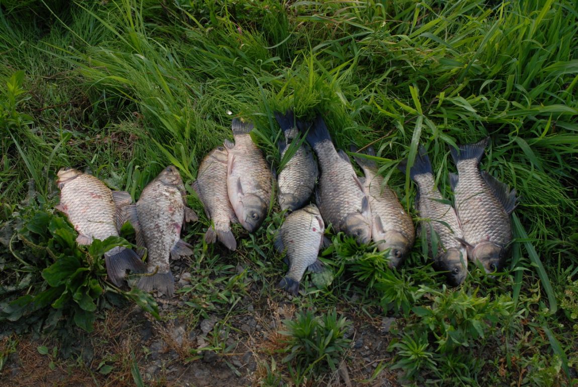 �غ�Ŭ�������� 055.jpg