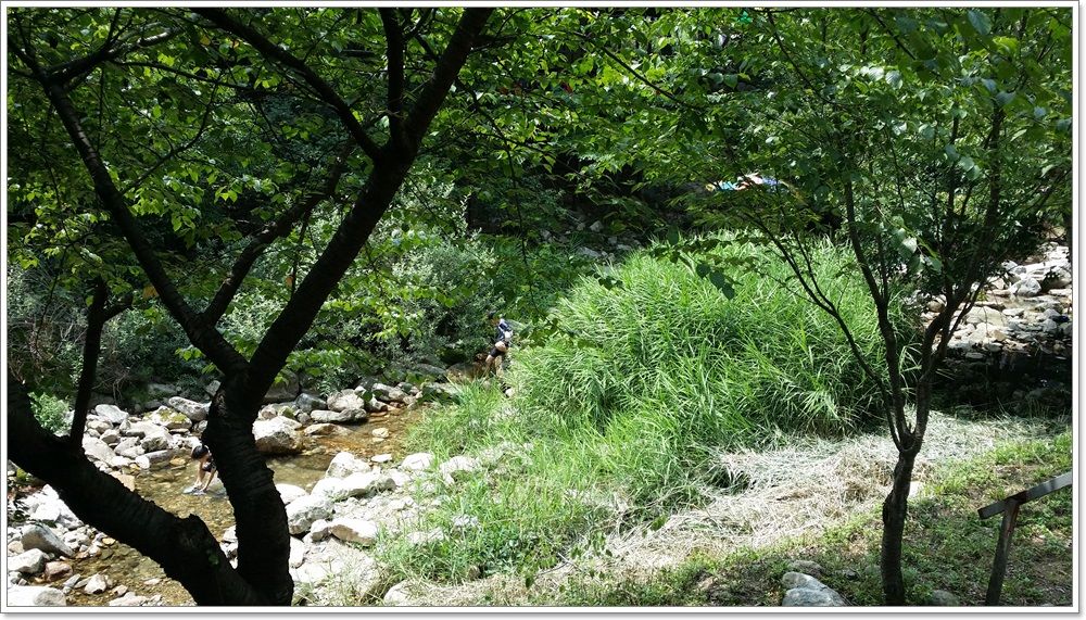 20140720_132621.jpg