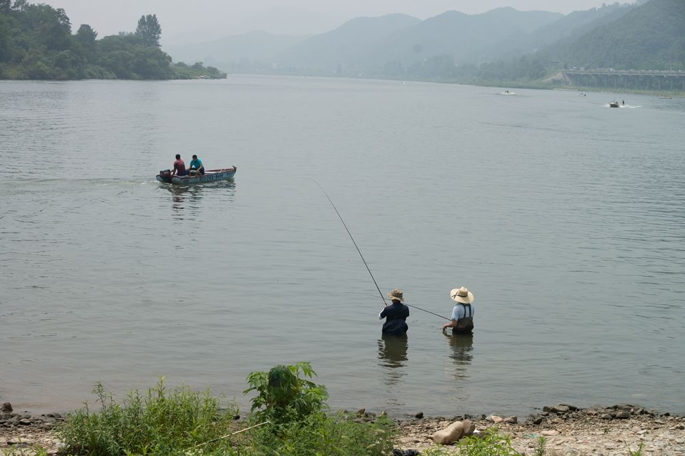 DSC01606.jpg