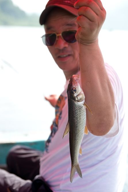 DSC02285.jpg