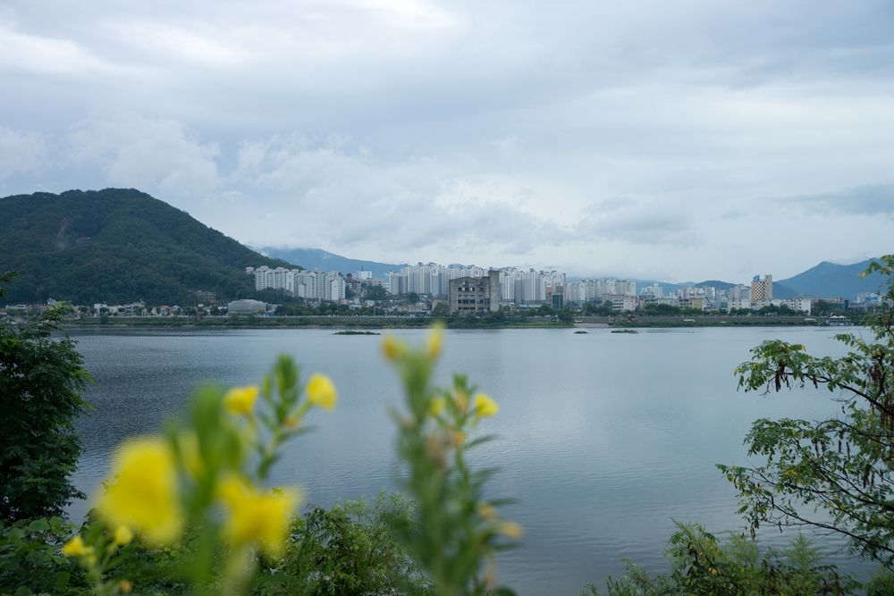 DSC02485.jpg