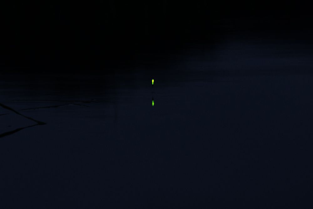 DSC00461.jpg