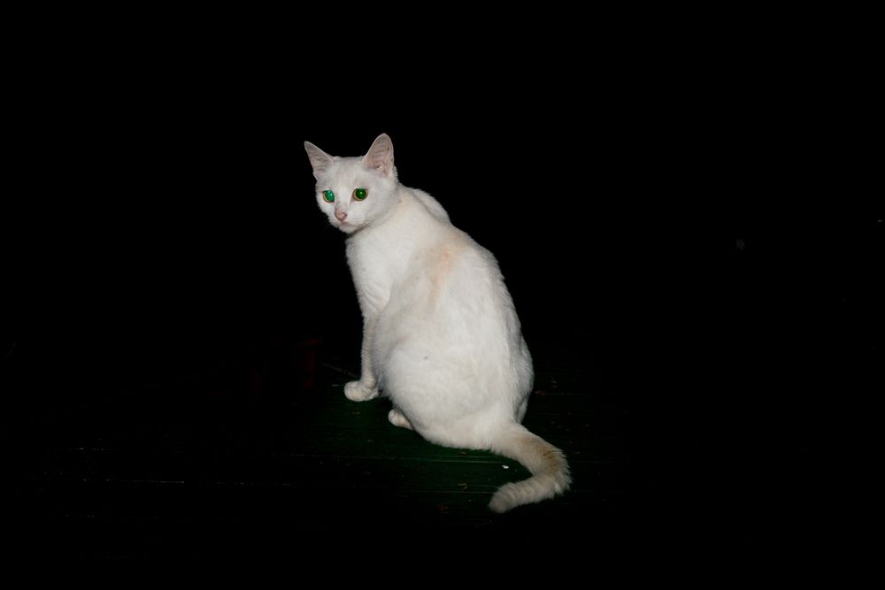 DSC03480.jpg