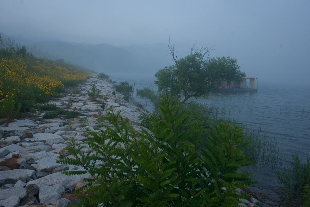 DSC08092.jpg
