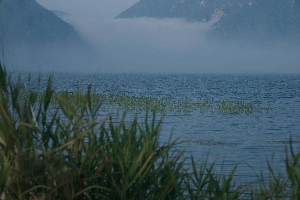 DSC08243.jpg